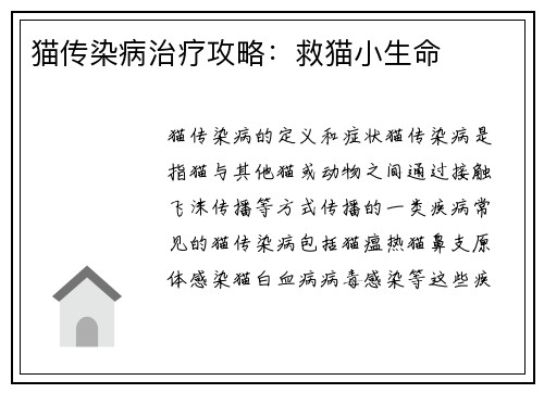 猫传染病治疗攻略：救猫小生命