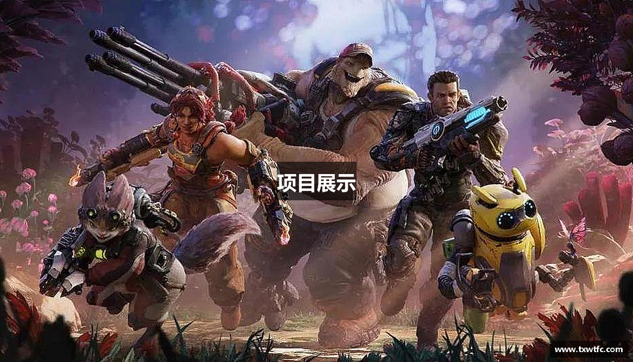 项目展示